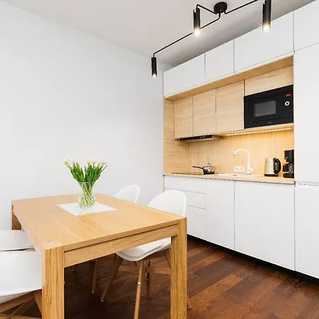 Pet-friendly Slusarska Cracow By Renters Krakau